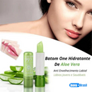 [LEVE 5 PAGUE 2] - Batom Hidratante Aloe Vera Longa Duração