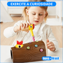 Brinquedo Magnético Pega Minhocas - Pica-Pau Pássaro Interativo