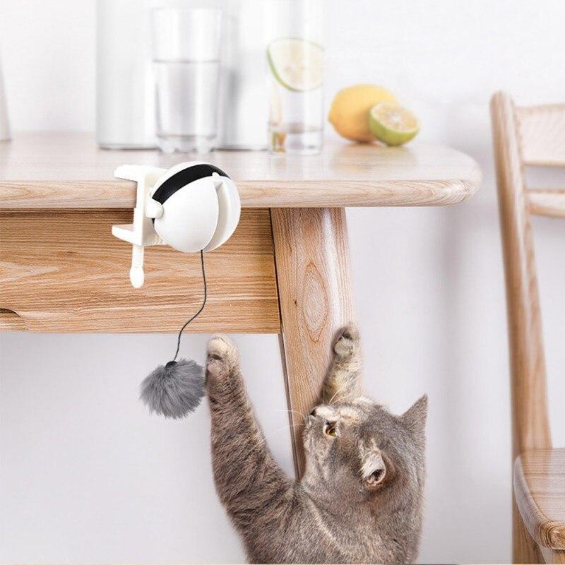 Brinquedo Interativo Para Gatos - Inova + Brasil