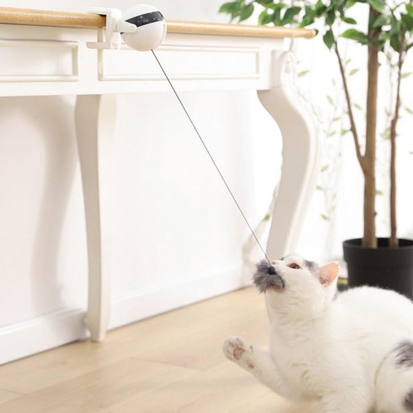 Brinquedo Interativo Para Gatos - Inova + Brasil